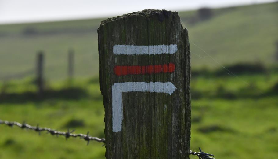 43